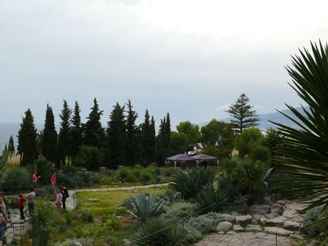 ботанический сад