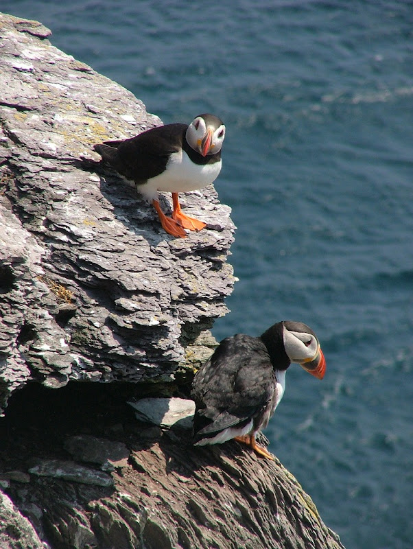 остров скеллиг майкл