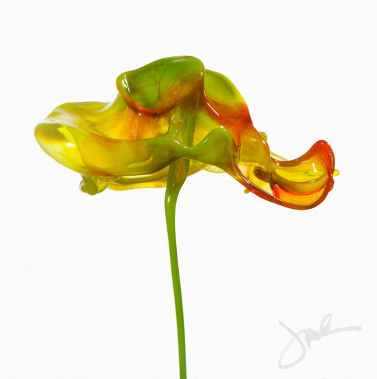 цветы из всплесков