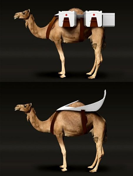 верблюд и скорая помощь