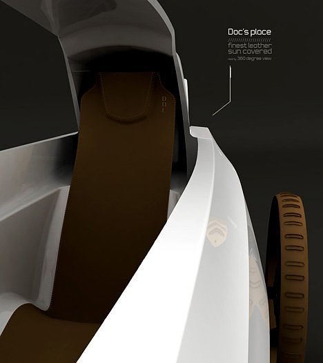 факты о верблюдах