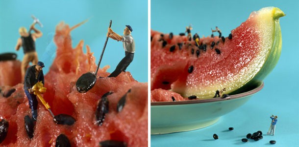 маленький пищевой мир маленький пищевой мир