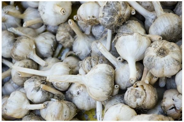 чеснок чеснок