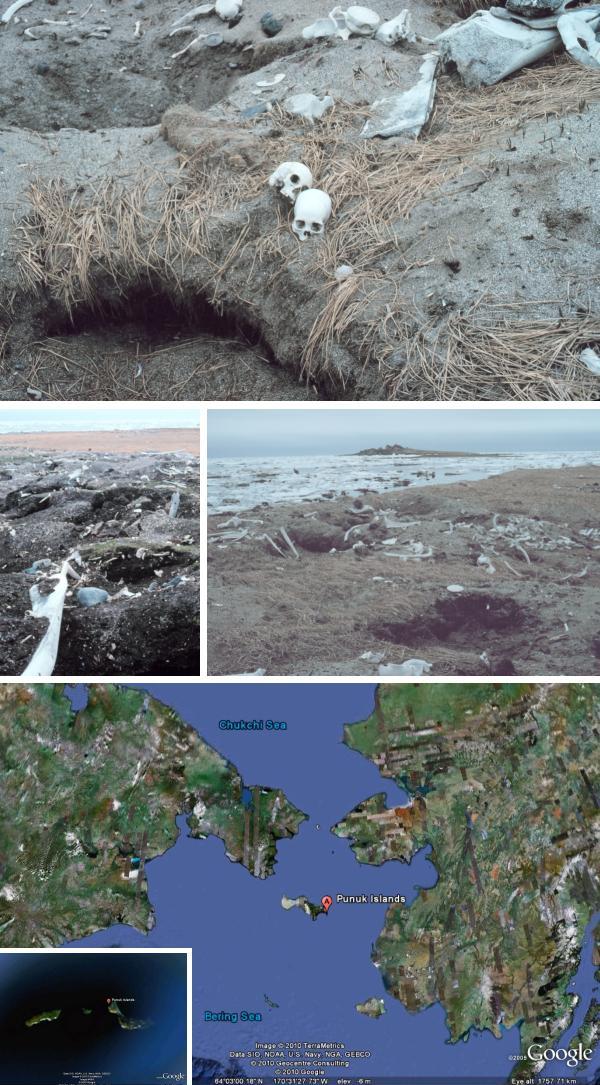 побережье островов Пунук каменистый берег с выброшенными морем предметами