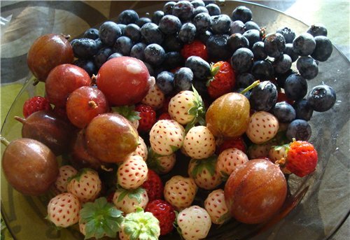 белая клубника