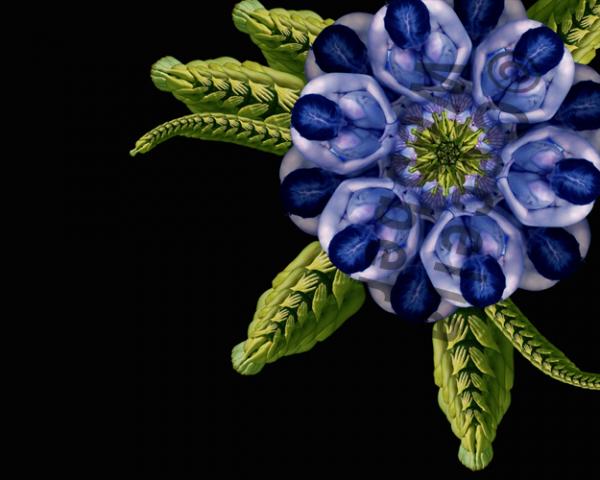 цветы и бабочки