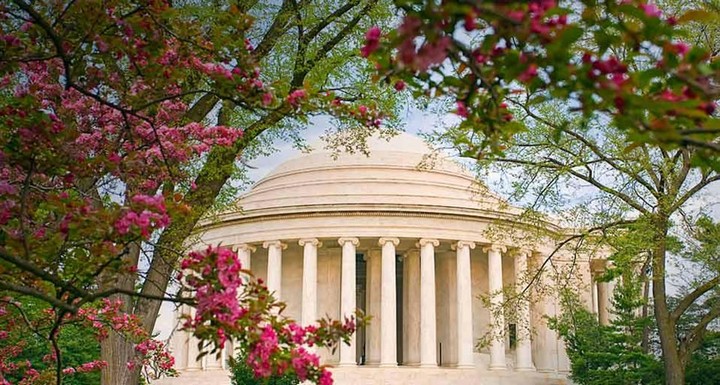 фестиваль вишневого цвета