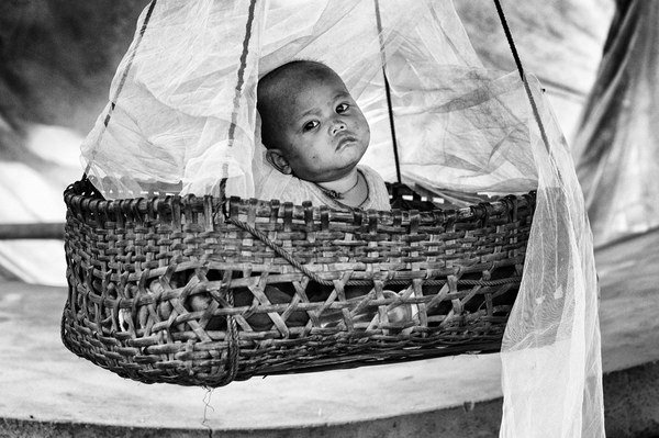 парк акадии парк акадии