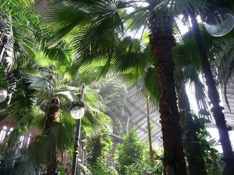 ботанический сад аточа