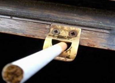 они на нас смотрят