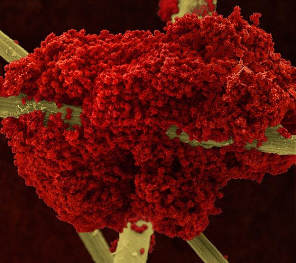 нанообразы