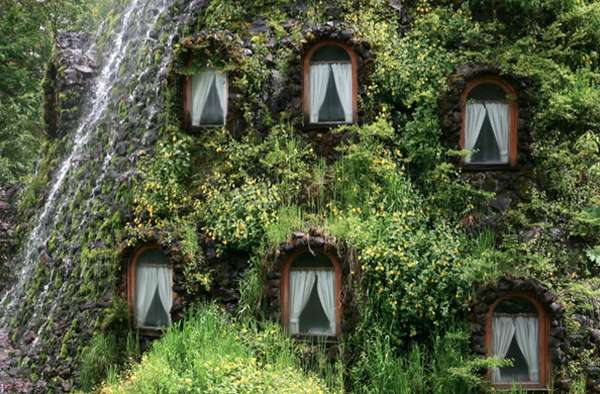 окружение отеля тропическим лесом