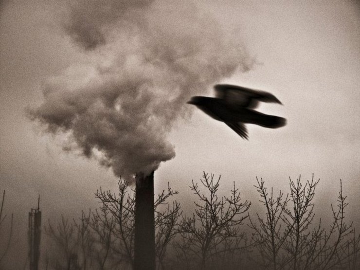 фотоконкурс