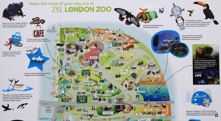 карта лондонского зоопарка карта лондонского зоопарка