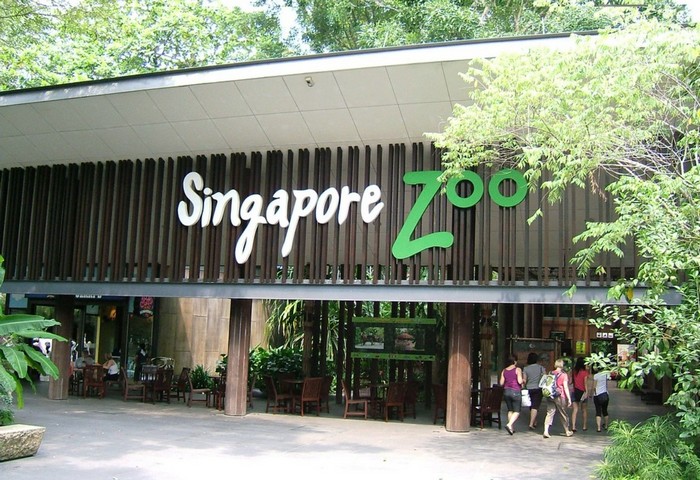 вход в сингапурский зоопарк вход в сингапурский зоопарк