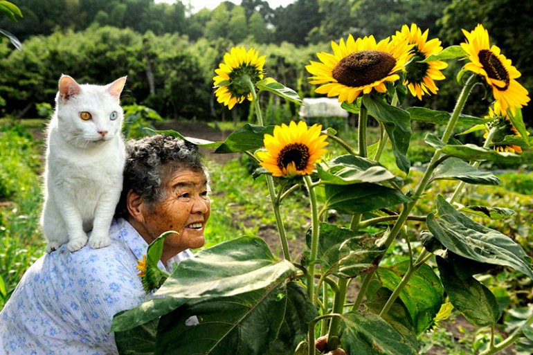 бабушка и кот