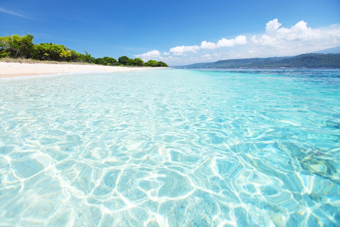 тропический лес и побережье национального парка Бали Барат