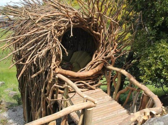 быть птицей быть птицей