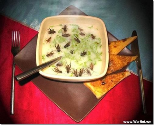 Жареные сверчки как уличный снеκ