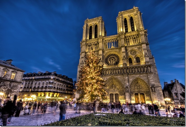 1218945847_paris__france__notre_dame_with_a_christmas_tree
