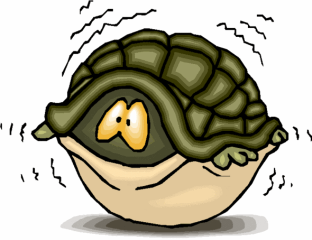fear-turtle