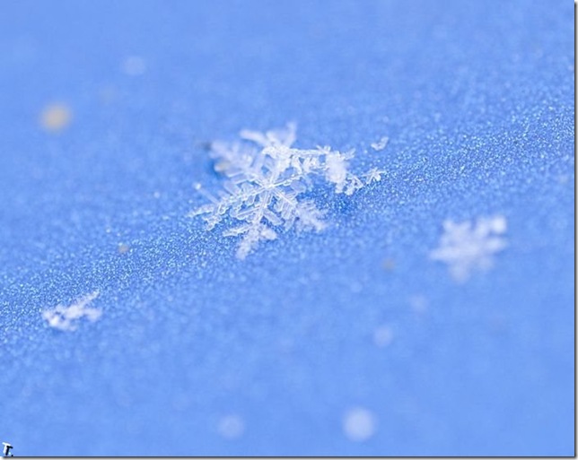 beautiful_snowflakes_38
