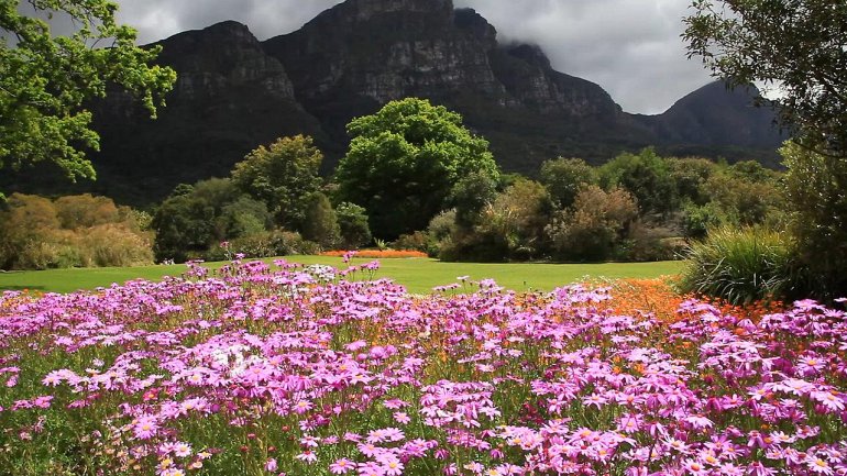 Райские сады: топ самых красивых парков мира