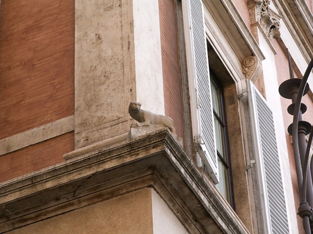 Каменная кошка на улице Via della Gatta, крупный план