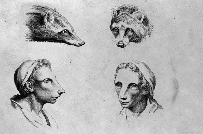 Сравнение лиц человека и животных: Эскизы 17-го века. ФОТО
