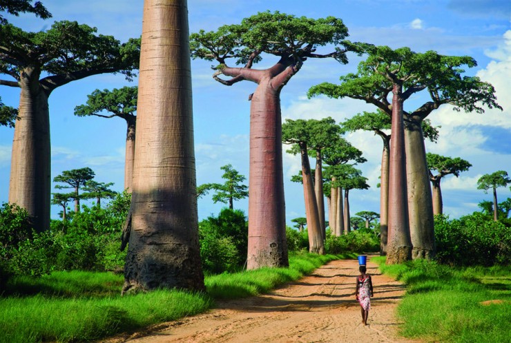 14 уникальных достопримечательностей Мадагаскара. ФОТО