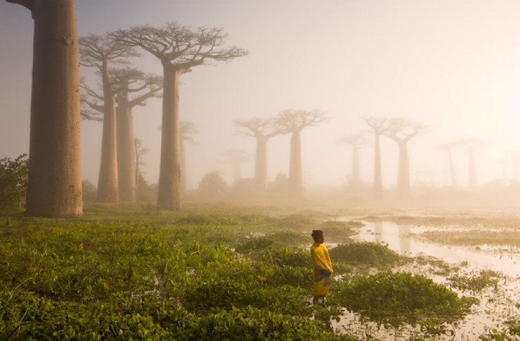 14 уникальных достопримечательностей Мадагаскара. ФОТО