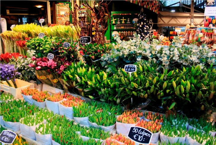цветочный рынок амстердама