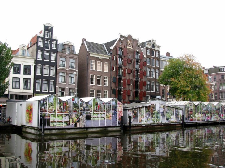 Плавающий цветочный рынок Амстердама Блуменмаркт. ФОТО