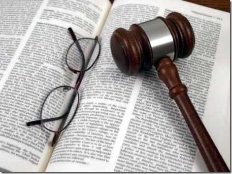 собака на улице