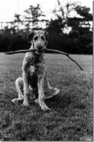 портретная черно-белая фотография