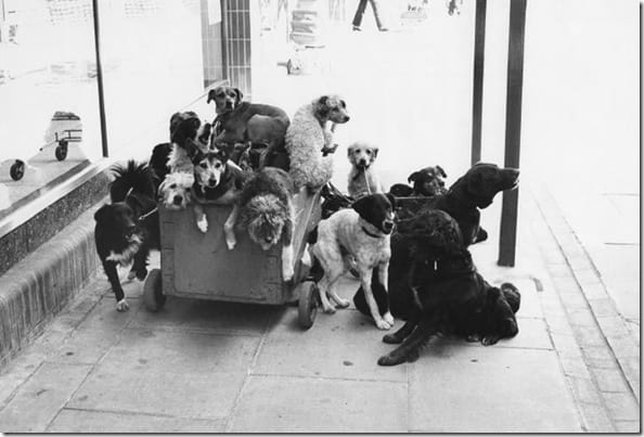 черно-белая сцена с выразительным сюжетом