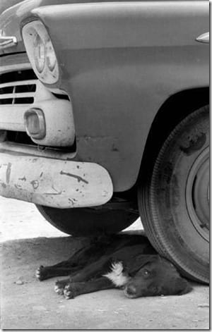 жанровая черно-белая фотография