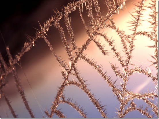 схема создания тонкого волокна на основе паутины