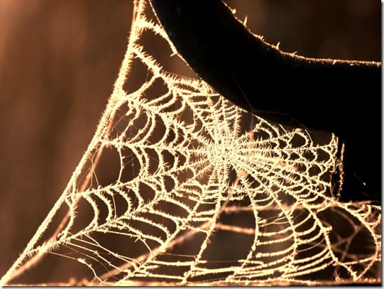 этапы создания нановолокна