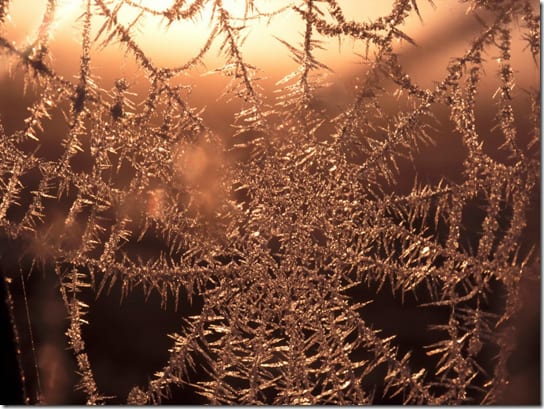схема использования тонких волокон в сенсорах