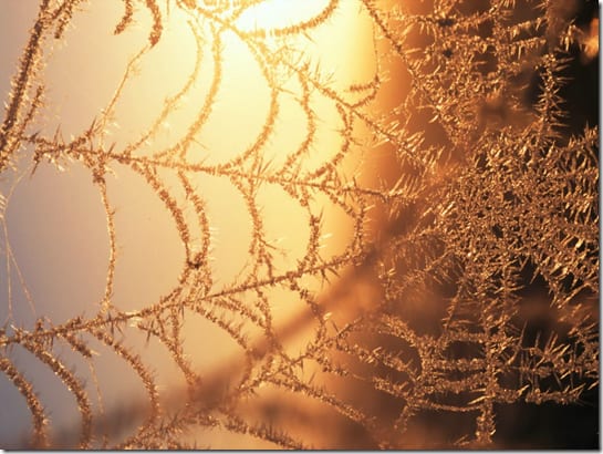 применение сверхтонких волокон в научных исследованиях