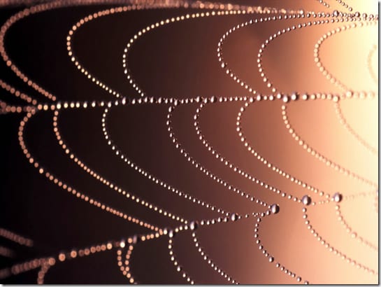 сравнение традиционных и нанотехнологических оптических решений