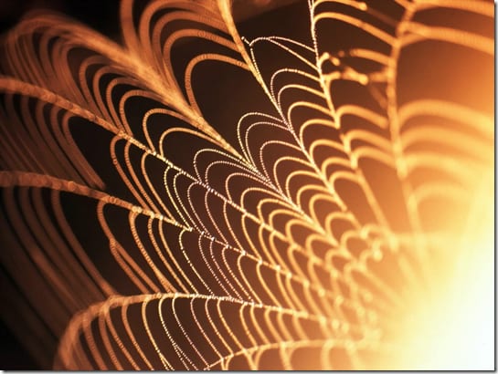 изображение объекта при высокоточном исследовании