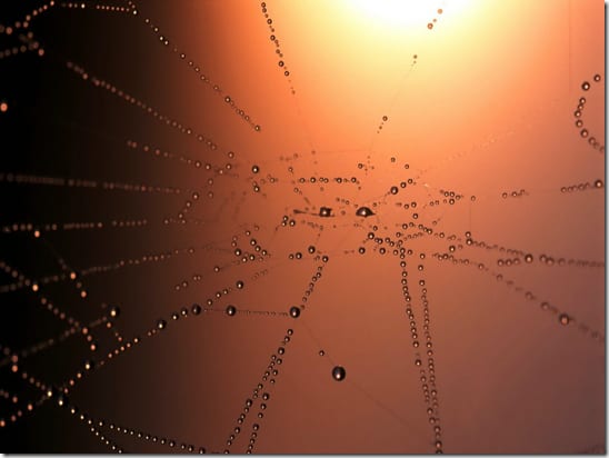 лабораторная установка для изучения тонких волокон