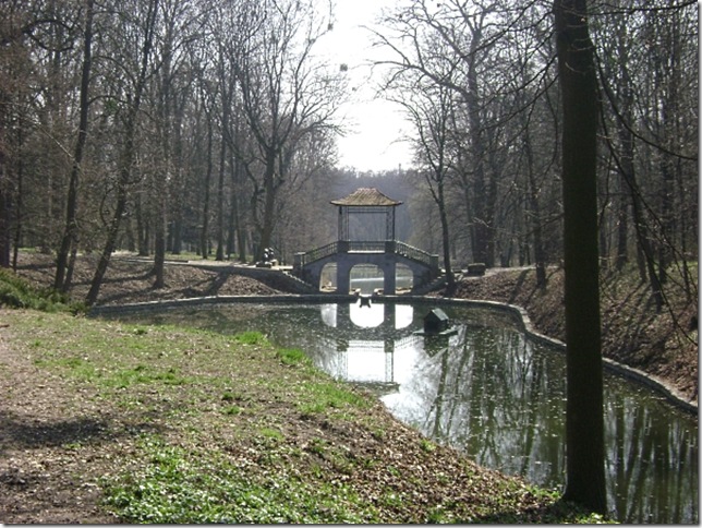 Лебеди на пруду