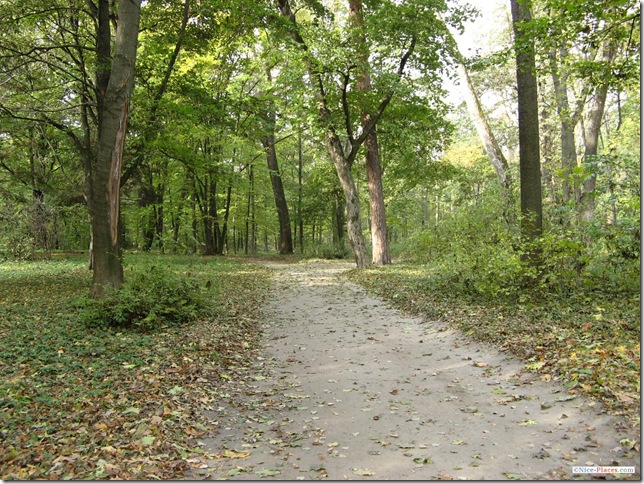 Пейзаж дендропарка с аллеями