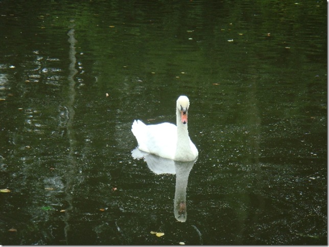 Пейзаж западной части