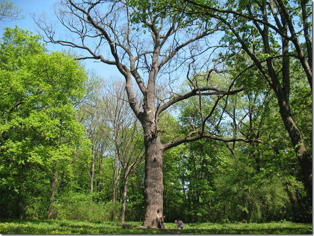 Смотровая площадка