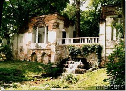 Вековые деревья в парке