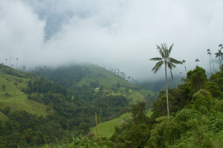 долина кокора в Колумбии